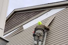 Best Historical Building Siding Restoration  in Kings Mills, OH